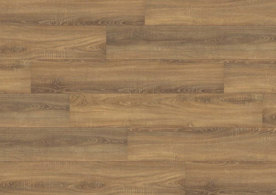 Дуб Вотан кедр