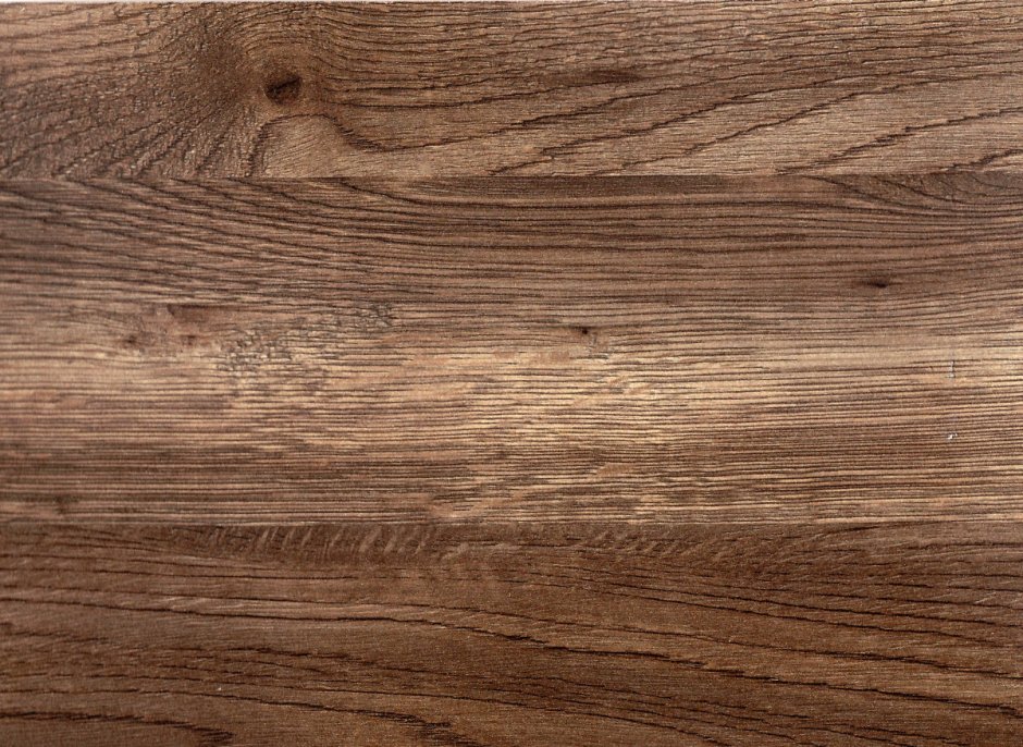 Троя дуб Вирджиния 2065