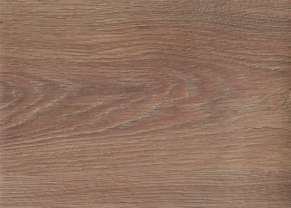 Таксус столешница кедр