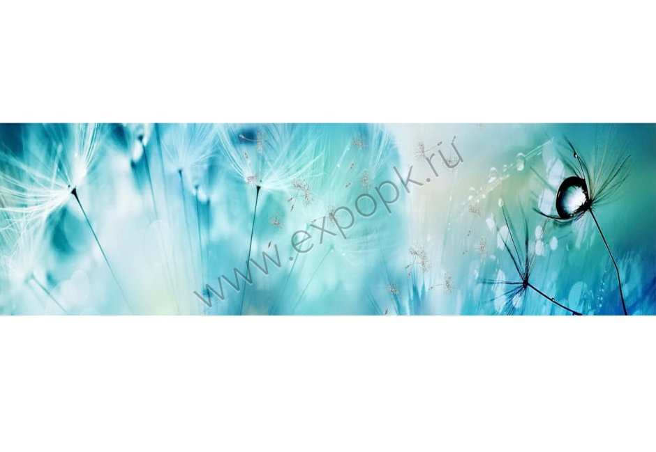 Стеновая панель Альбико одуванчики