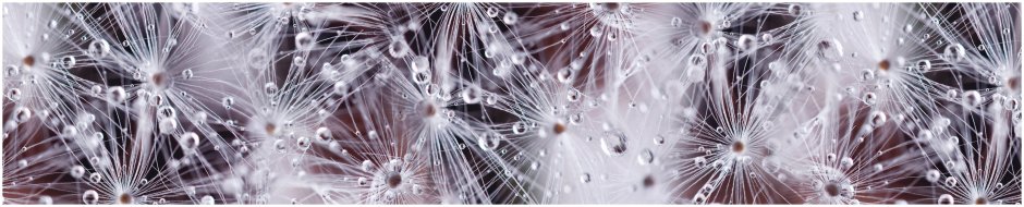 Скинали для кухни одуванчики