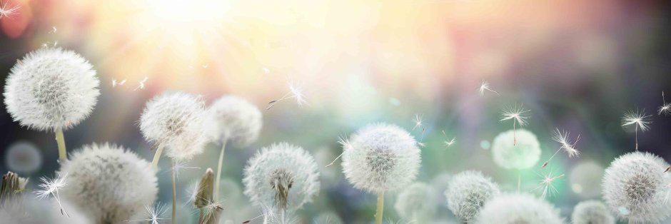 Стеклянный фартук для кухни черно белый