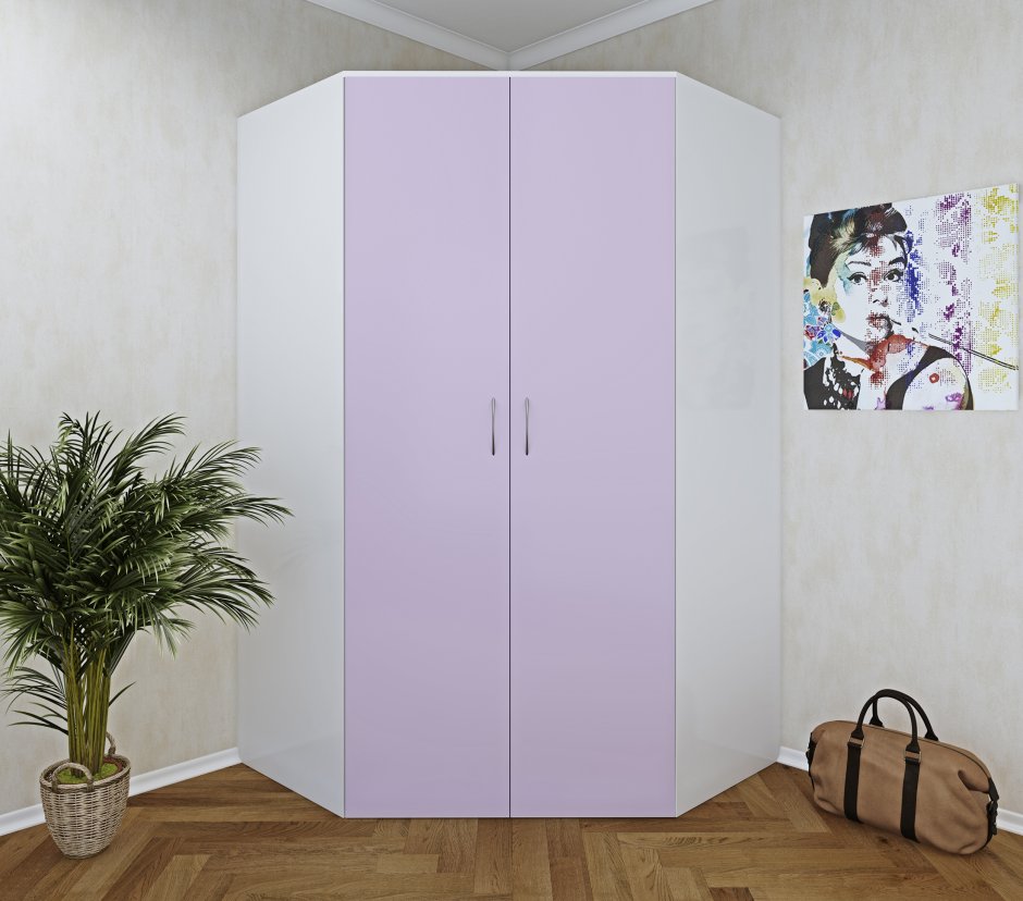 Угловой шкаф 1100х1100 наполнение