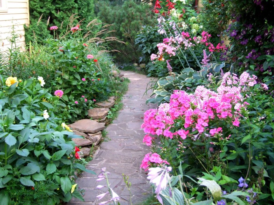 Миксбордер с розами и флоксами