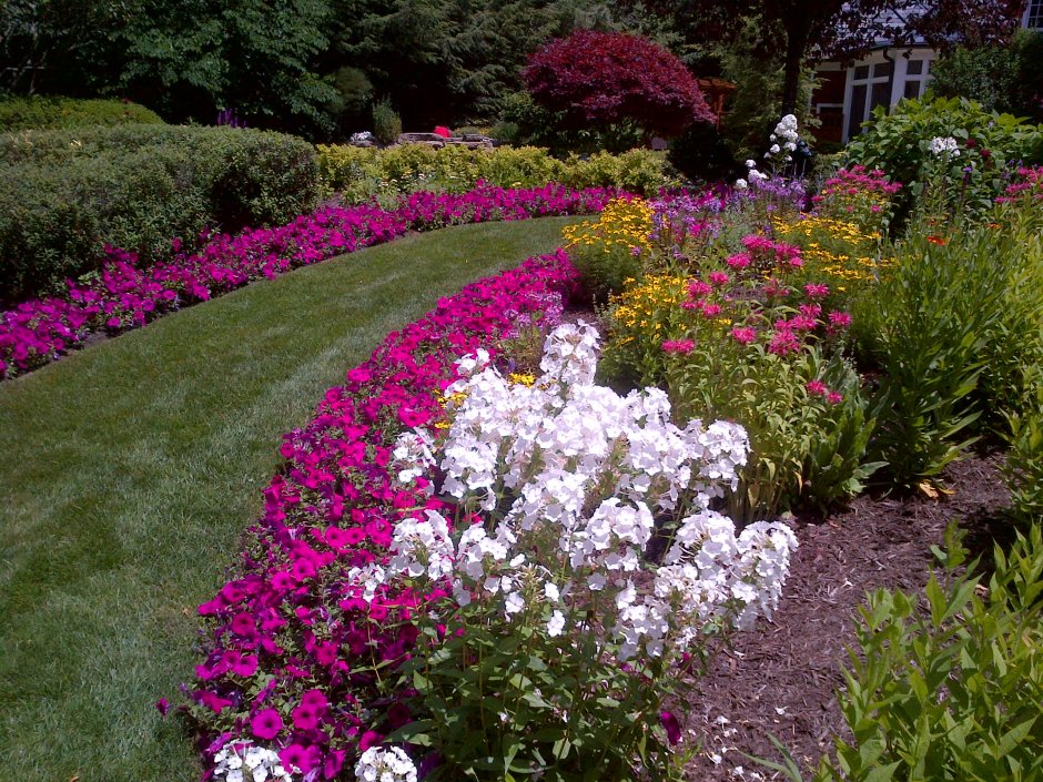 Цветочная клумба с флоксами