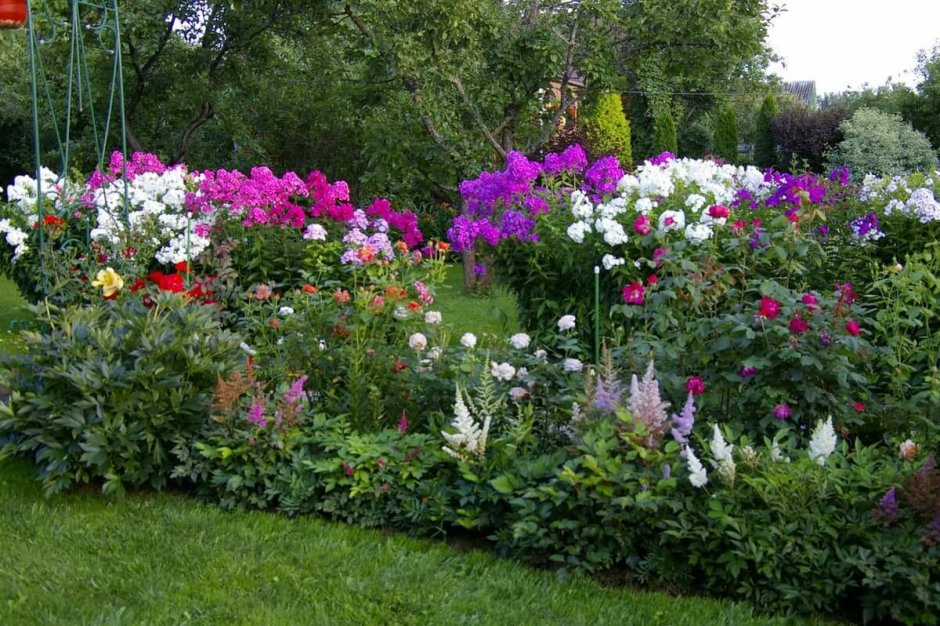 Клумба Флоксы лилейники астильба пион
