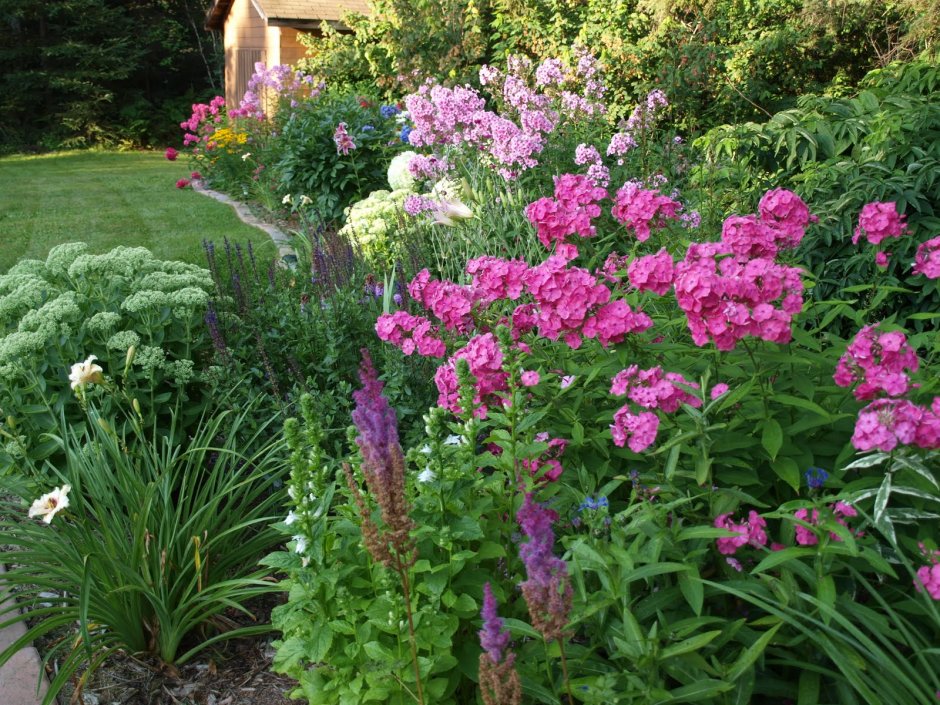 Клумба с хостой и флоксами