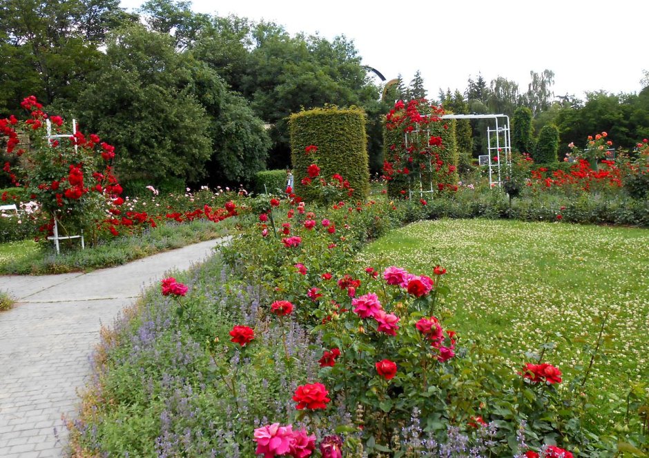 Прага розарий парк