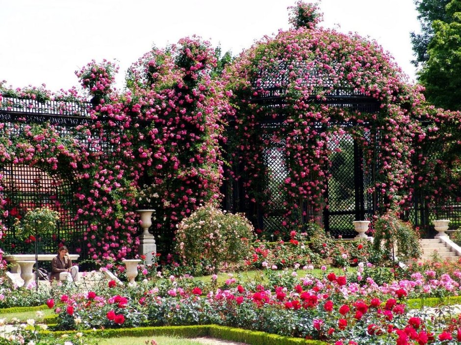 Roseraie du Val-de-Marne, Франция