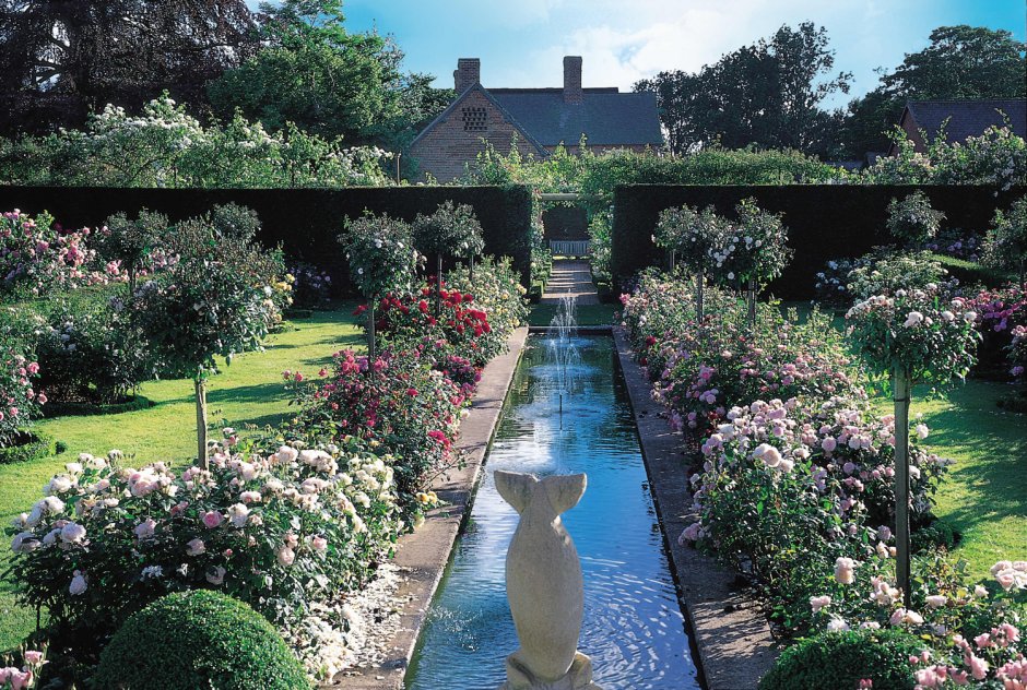 Джуди Пирс ландшафтный дизайнер