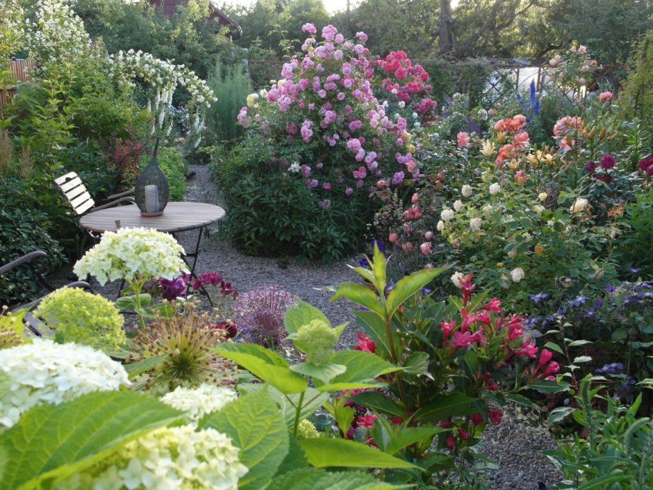 Миксбордер с розами