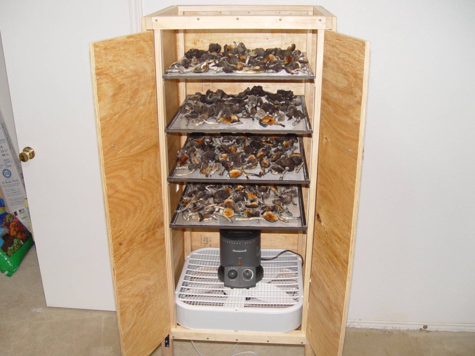 Шкаф для сушки грибов