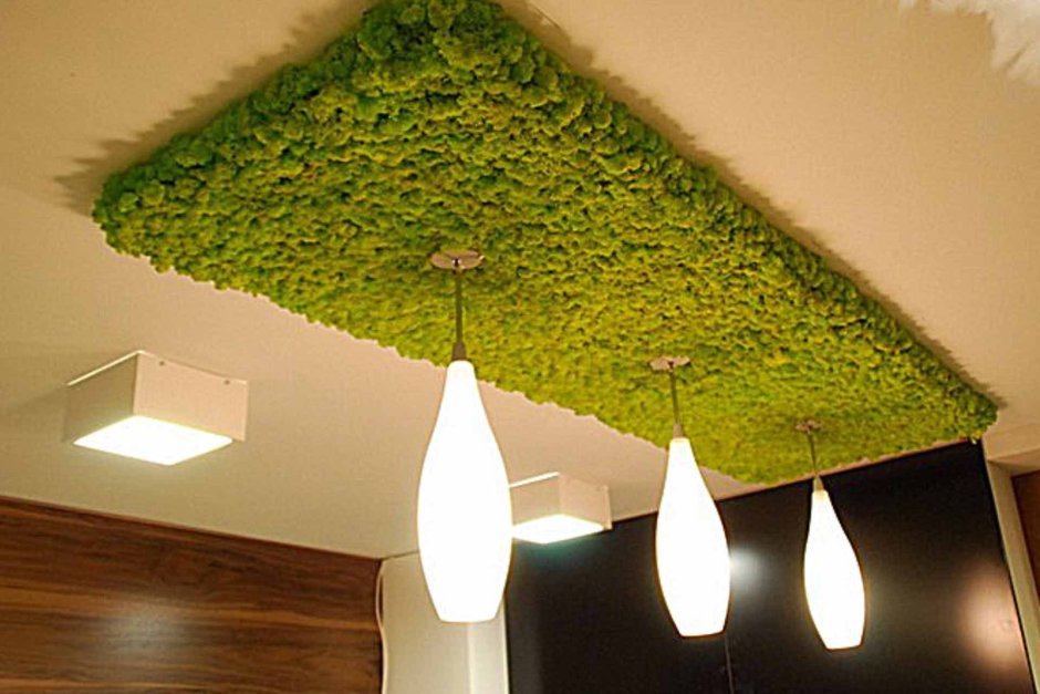 Мох в интерьере