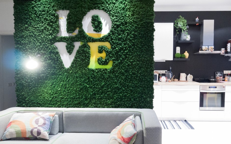 Фитостена самшит