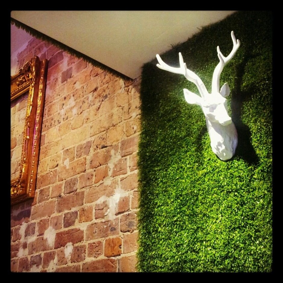 Зелень в офисе