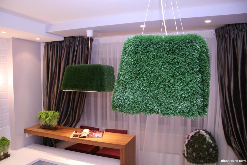 Фитостена мох