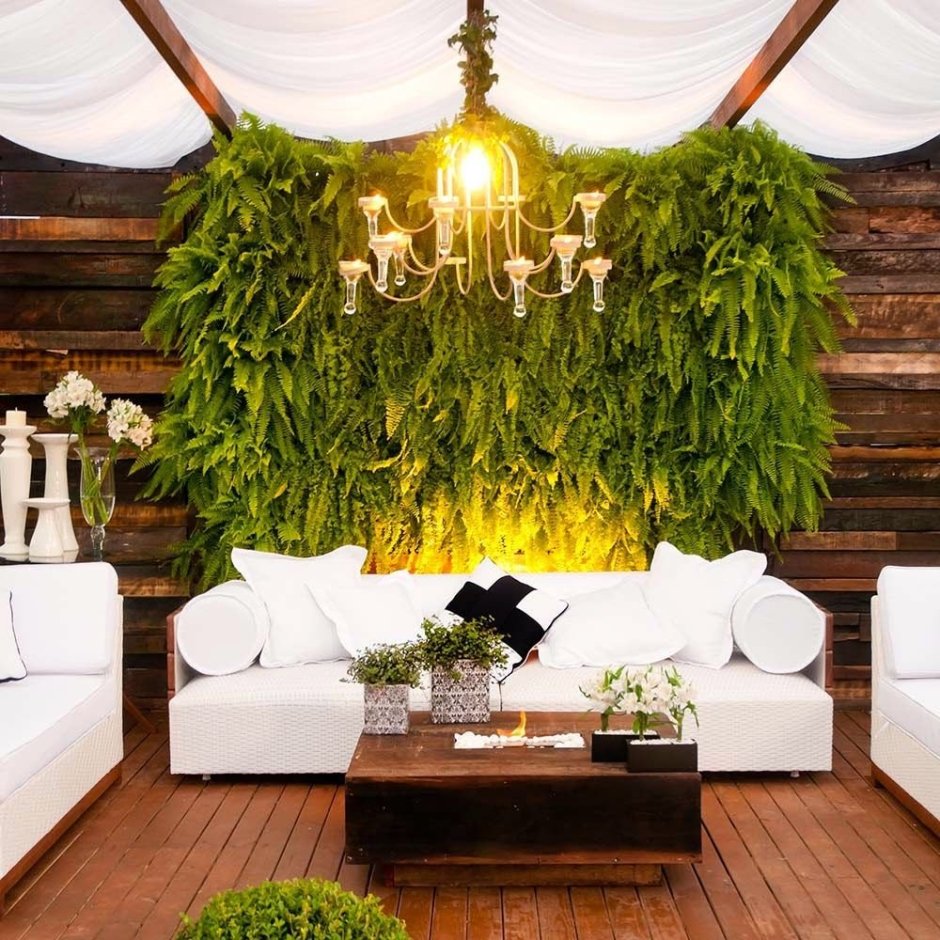 Фитостена из стабилизированного мха и растений