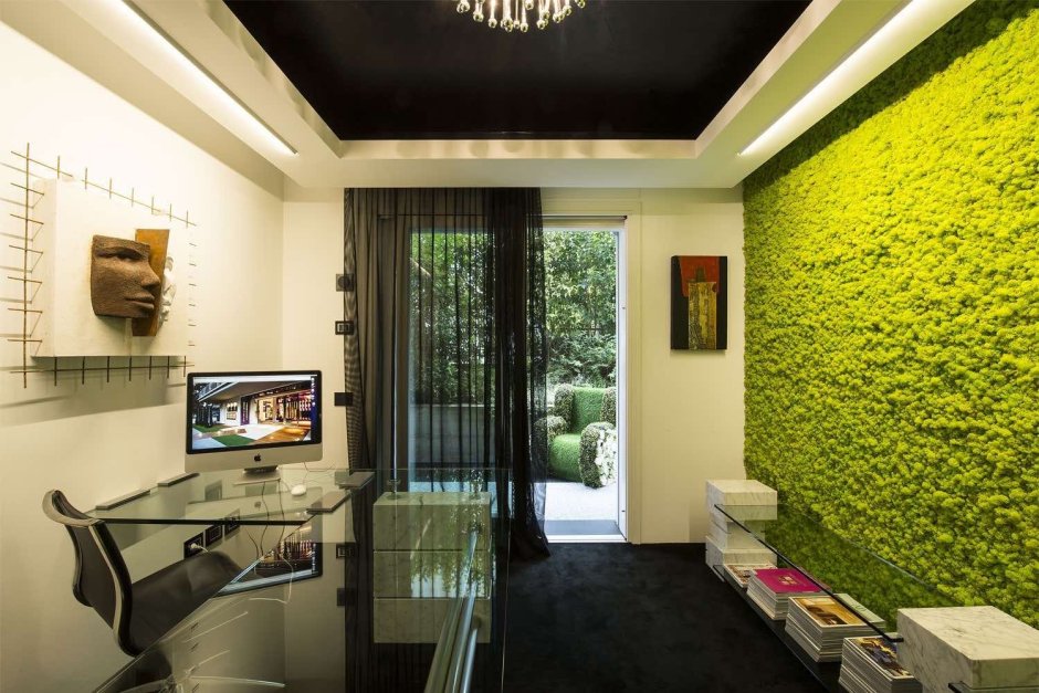 МАКССПЕЙС мох