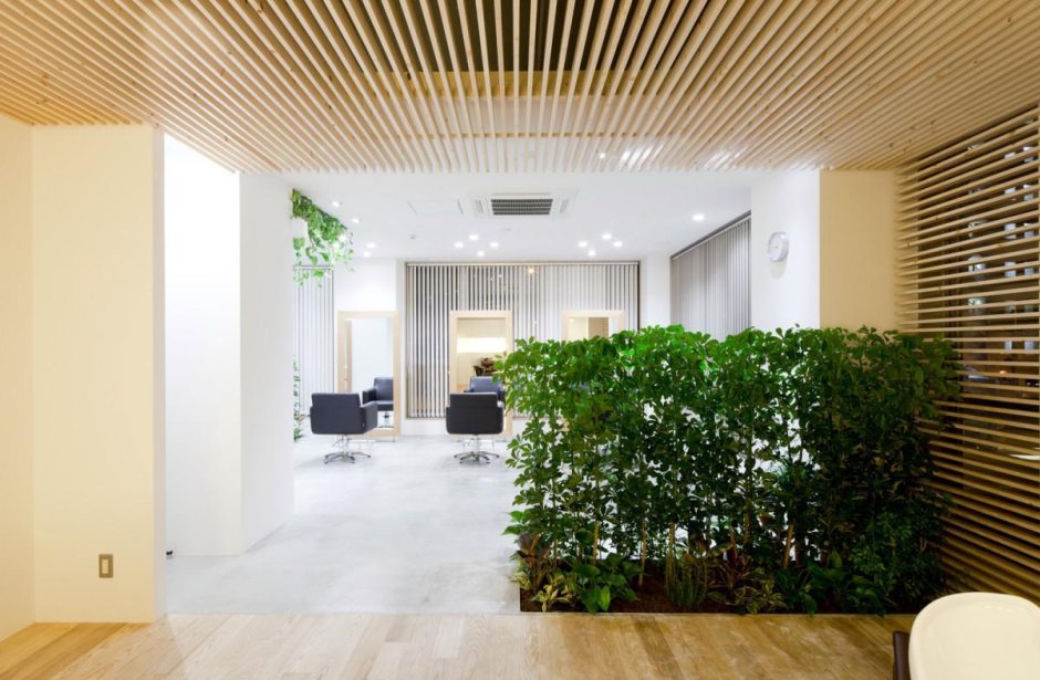 Потолок из искусственных растений