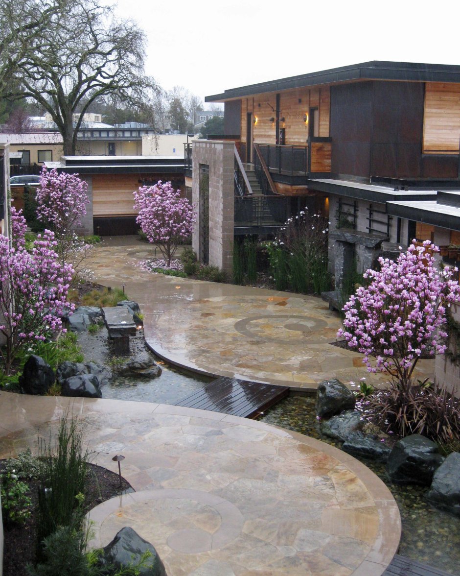 Магнолия Сьюзен в ландшафтном дизайне