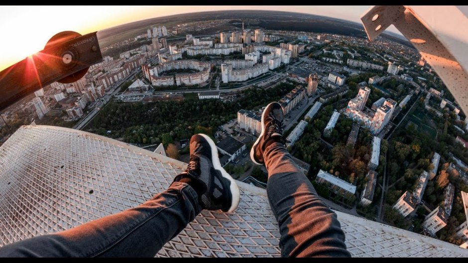 Руфлекс руна Тайга