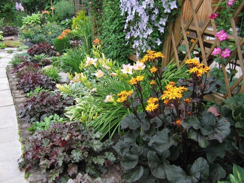 Бузульник и гейхера