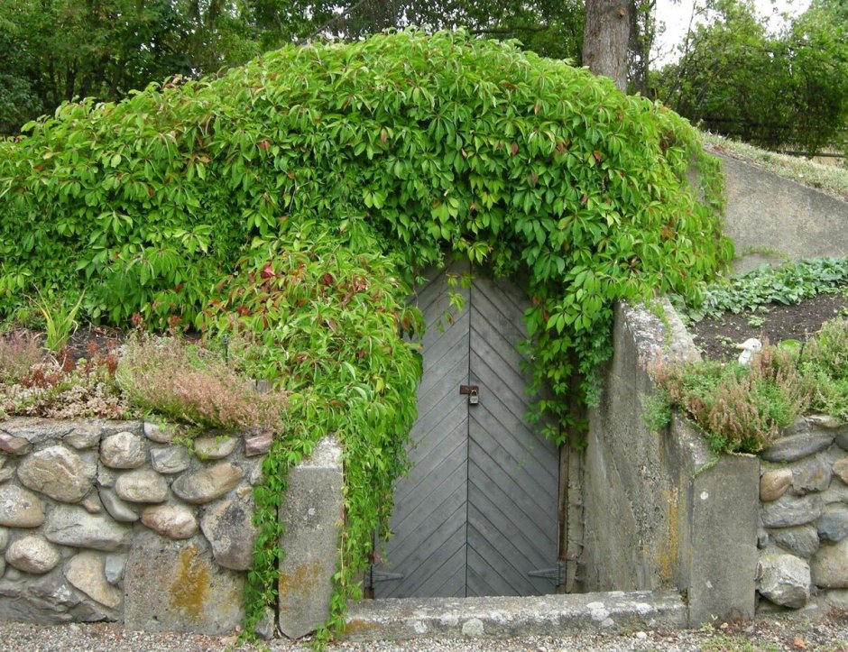 Полузаглубленный погреб