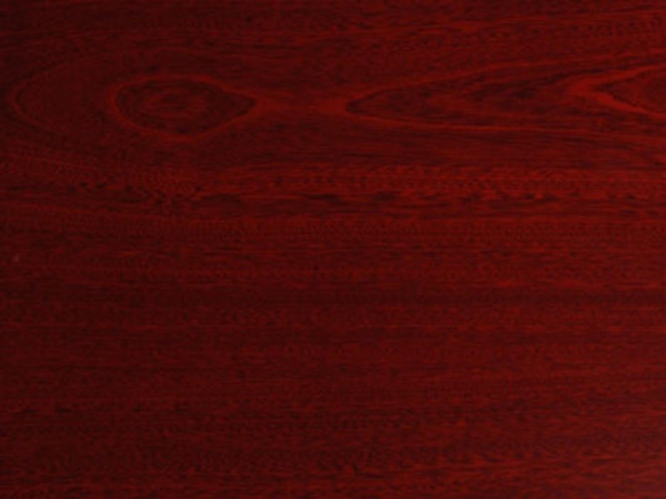 Wood Bee Сапели