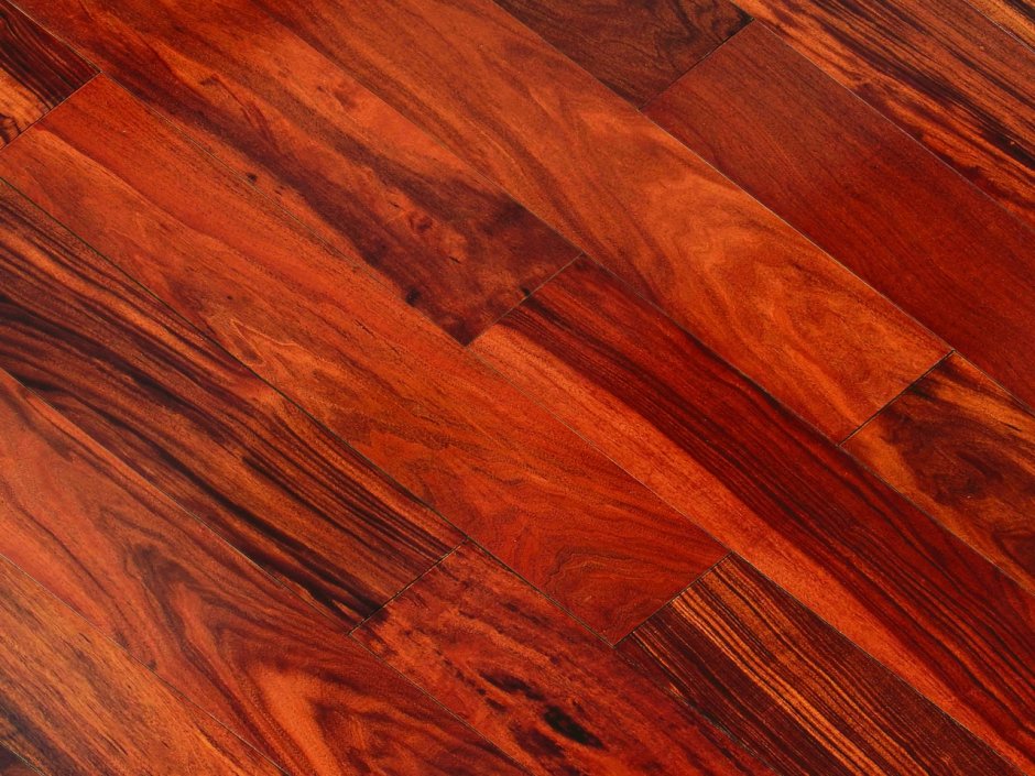 Таркетт Робинзон махагони