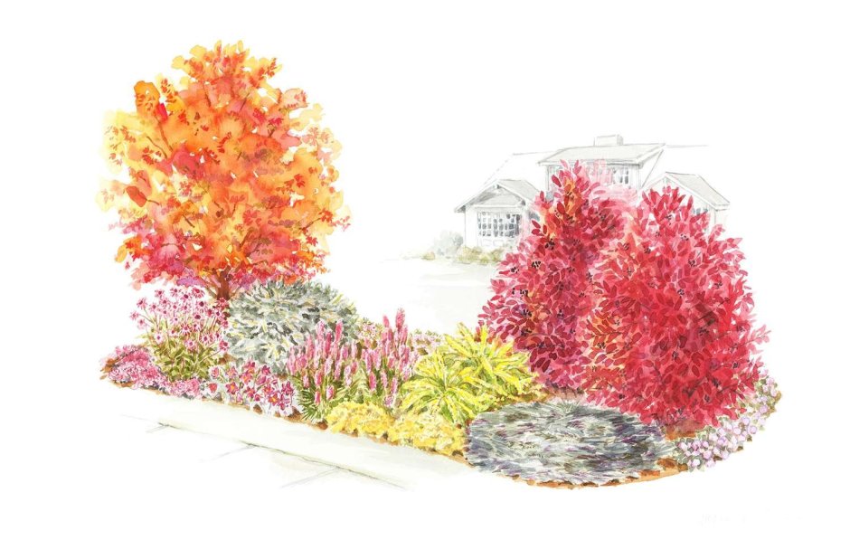 Композиция с кленом