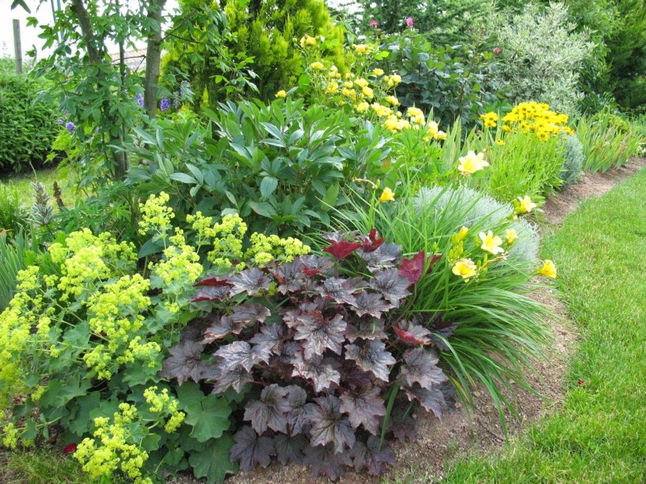 Миксбордер Хоста гейхера