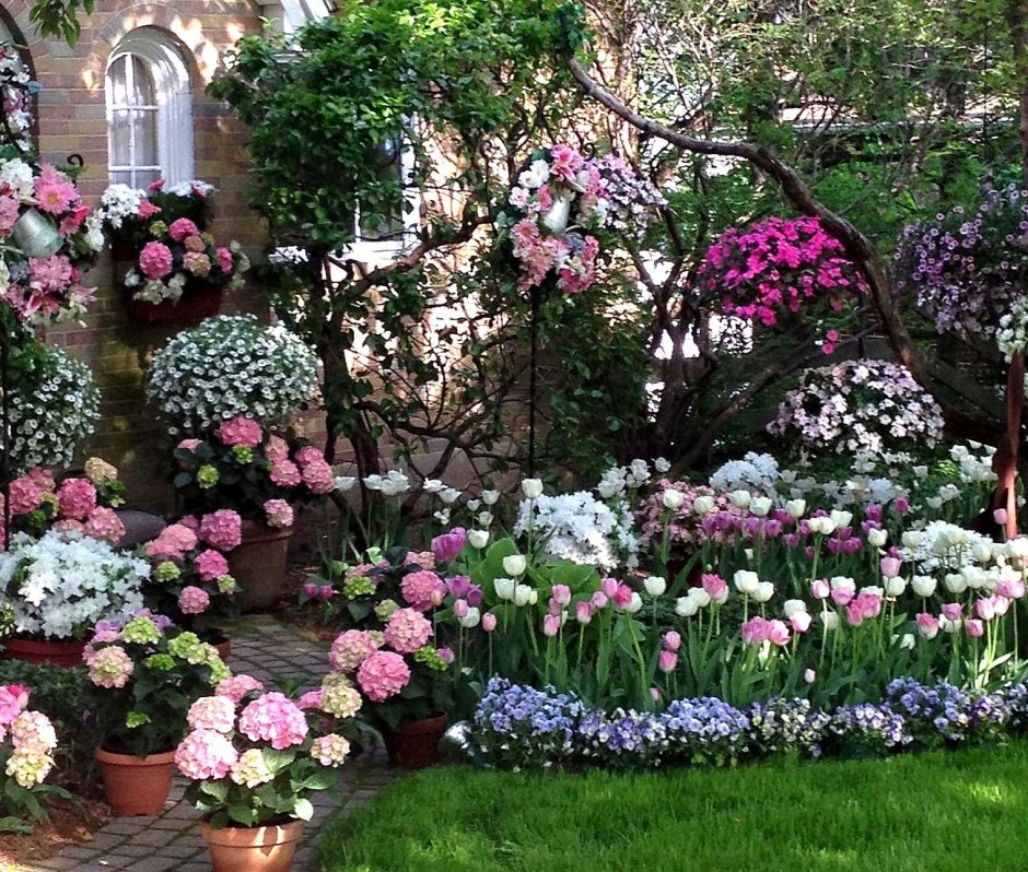 Клумбы с Крупнолистными гортензиями