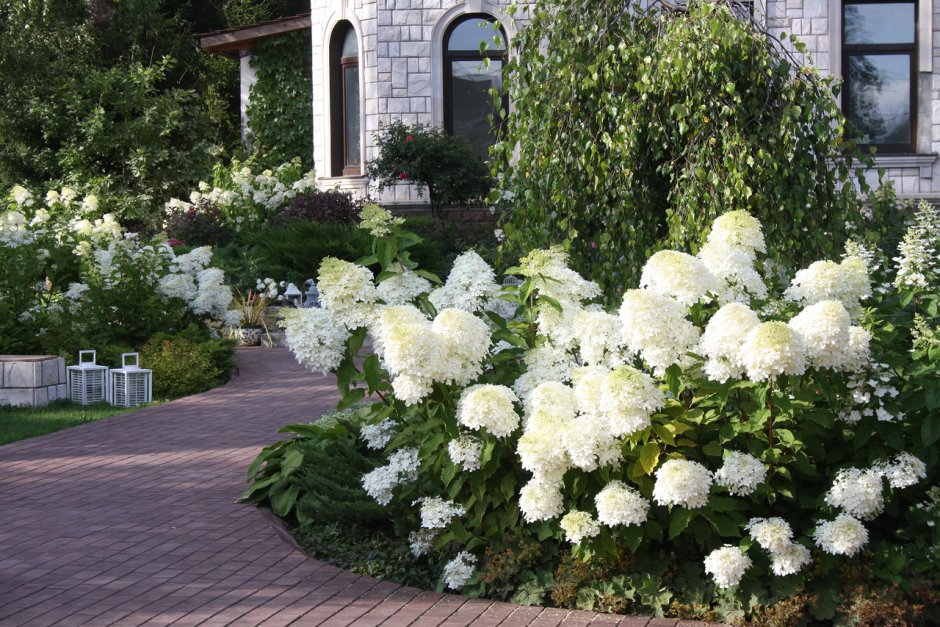 Ландшафтный 3и-Айн