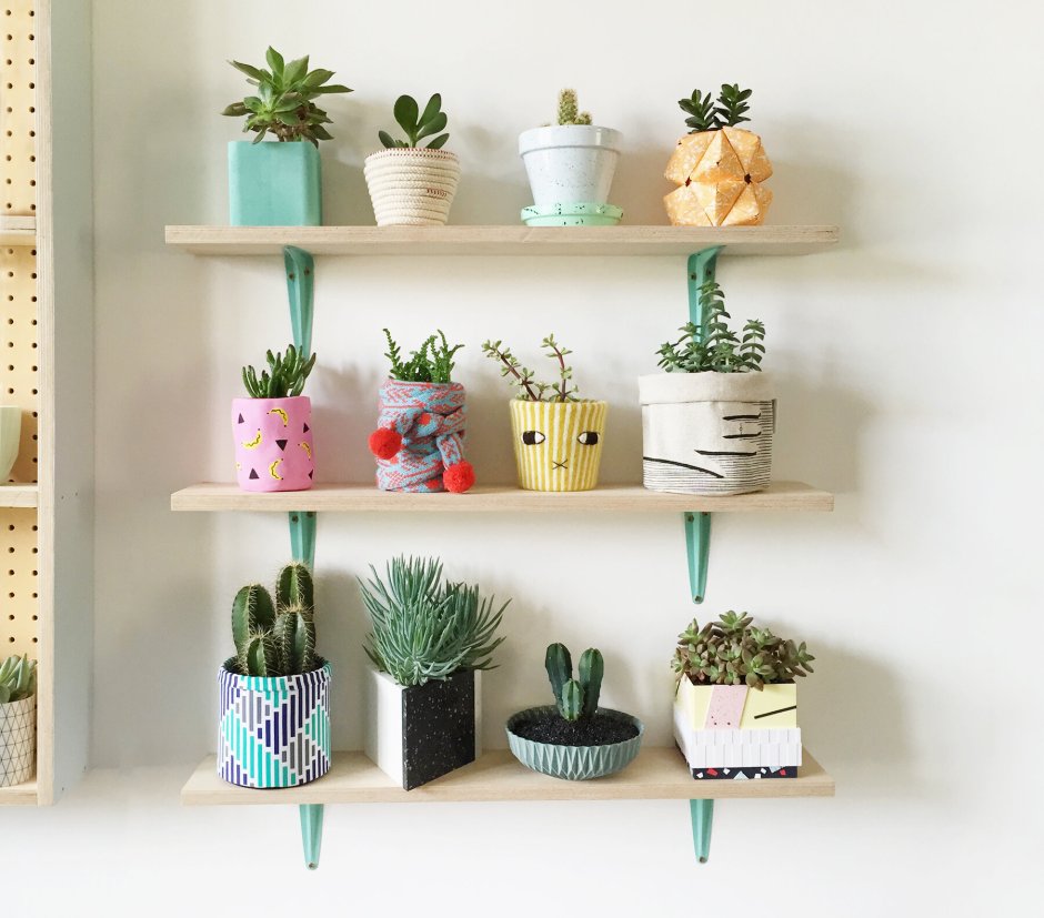 Полки для суккулентов
