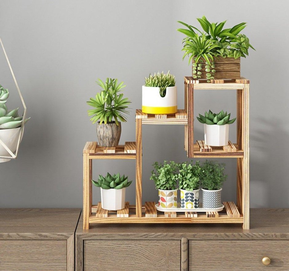 Суккуленты в скандинавском интерьере