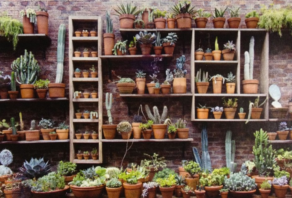 Полки для растений