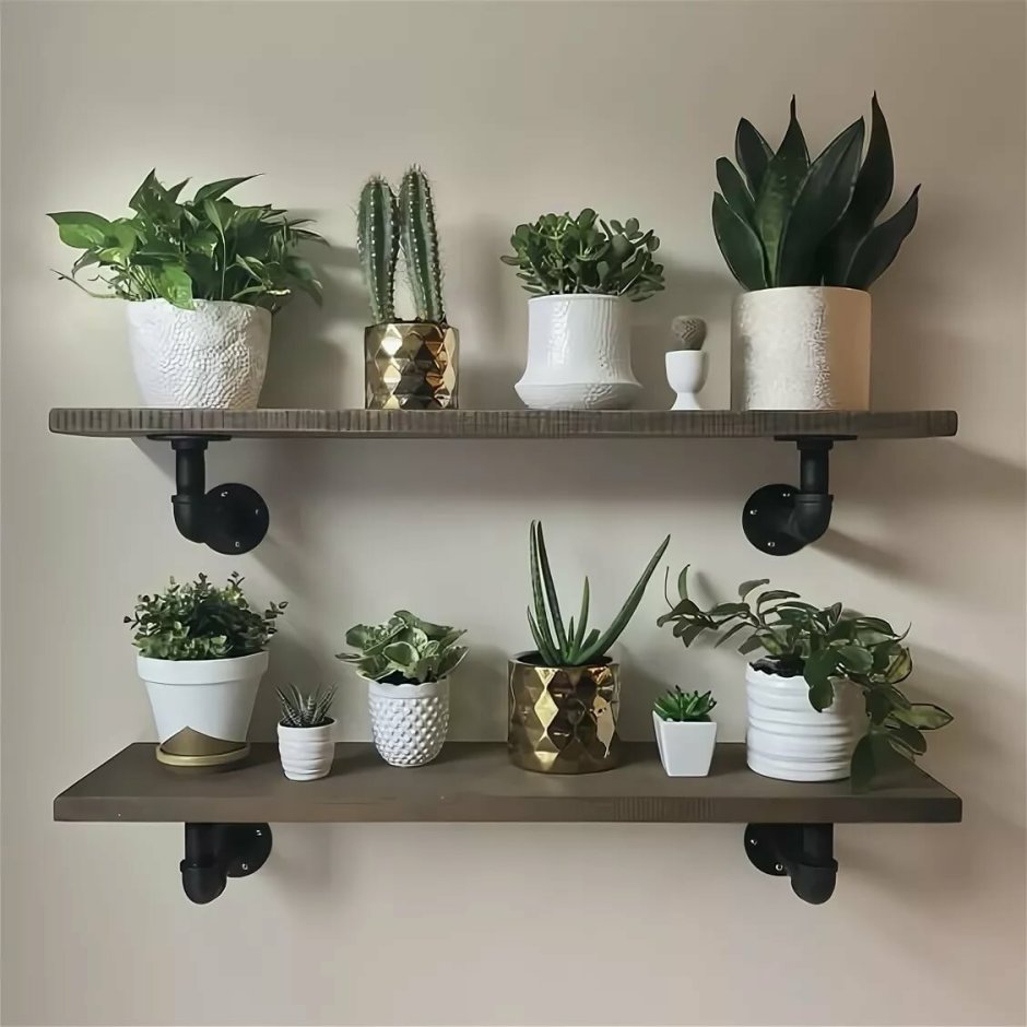 Стеллаж для растений