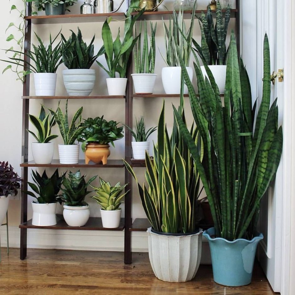 Стеллаж для цветов