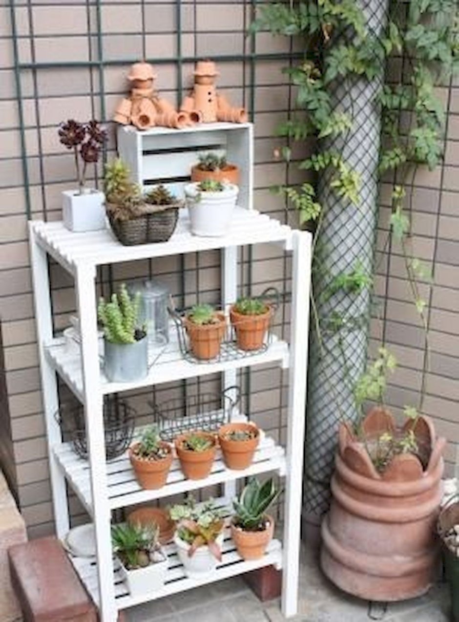 Полки для суккулентов