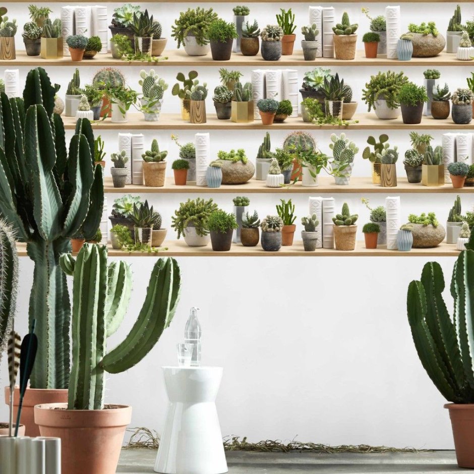 Полочка для кактусов