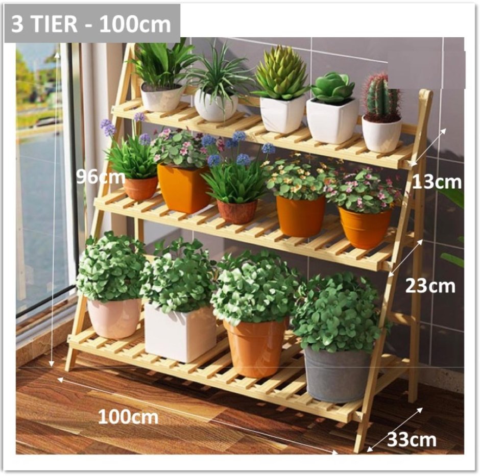 Коллекция суккулентов