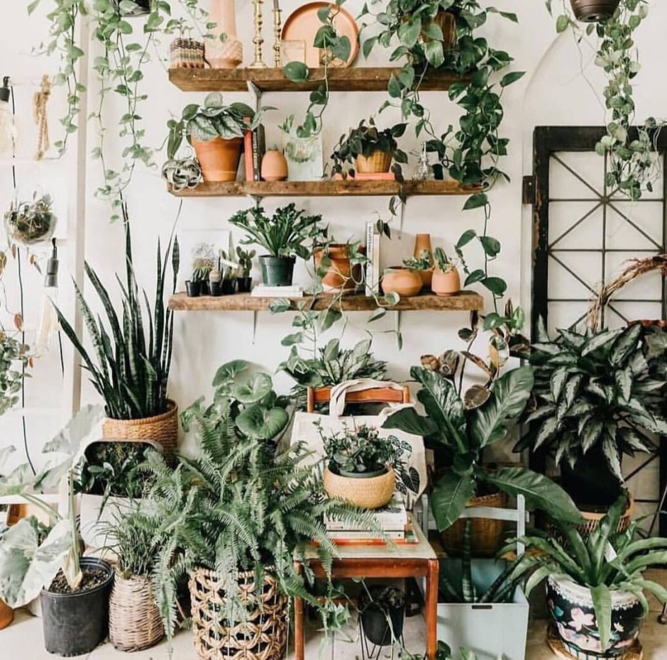 Настенное кашпо