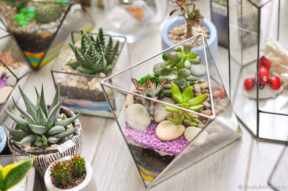 Декор для полок соты