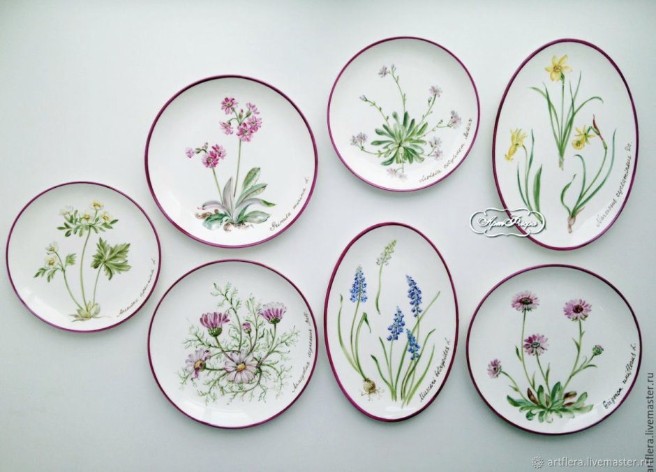 Фарфоровые тарелки с ботаническими иллюстрациями
