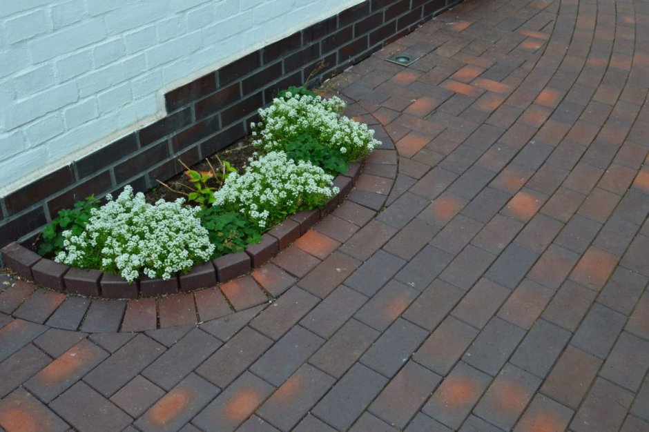 Палисадник с Галькой