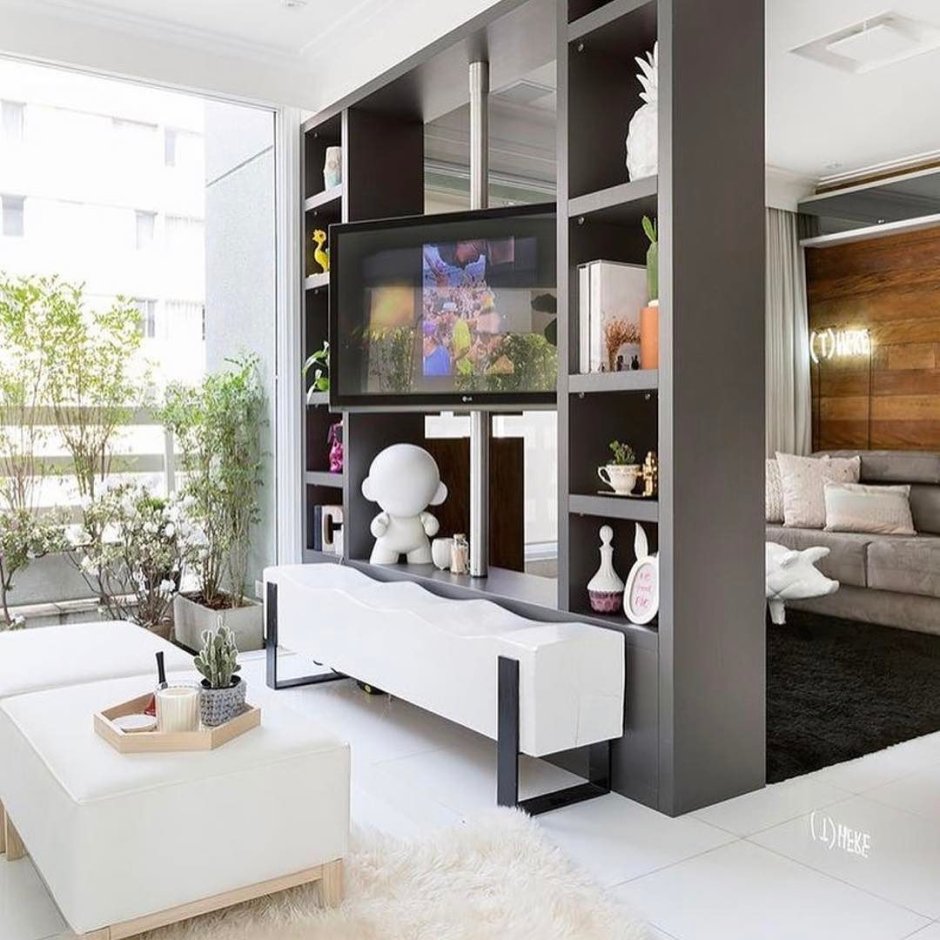 Шкаф перегородка с телевизором