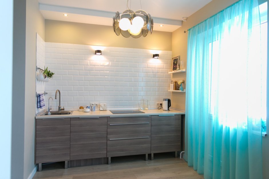 Зановескапод раковину