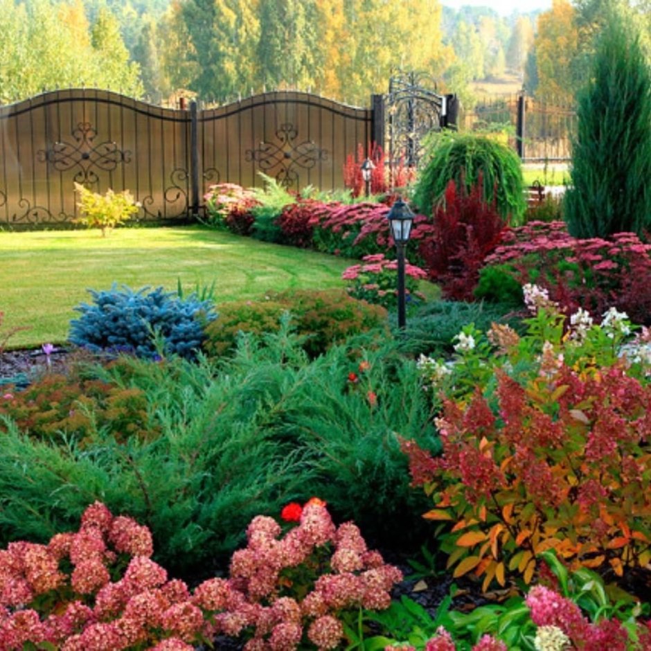 Миксбордер с туей, гортензией, барбарисом