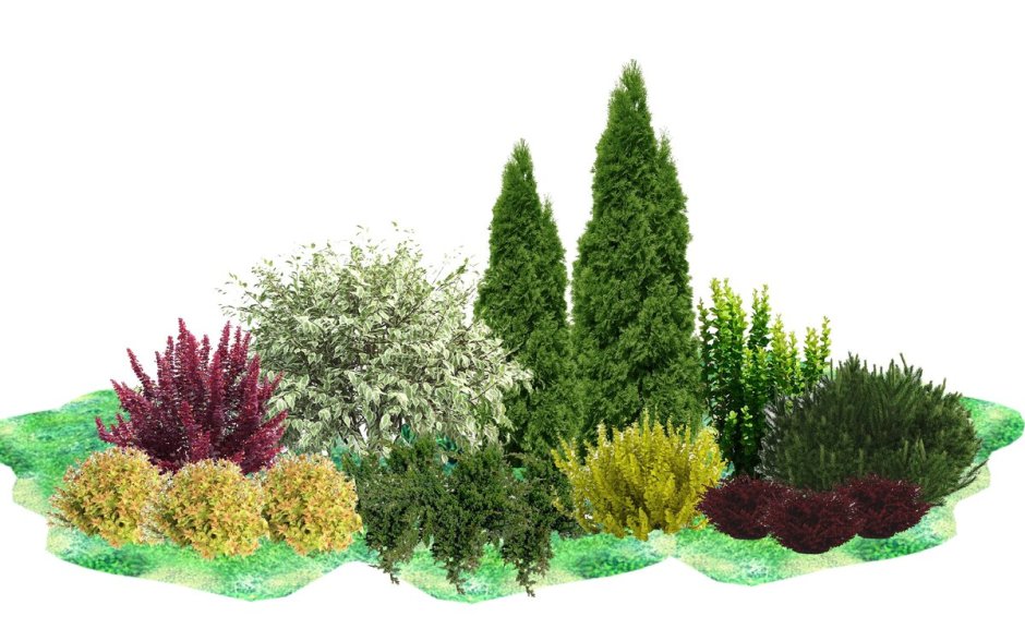 Миксбордер с туей Смарагд