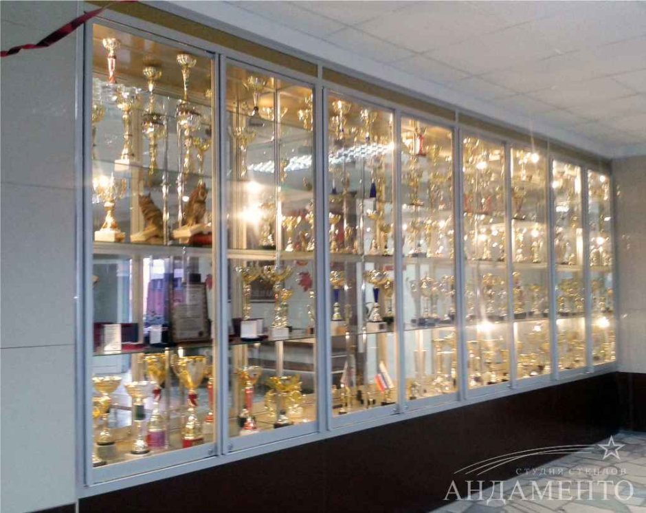 Стеклянный шкаф для наград